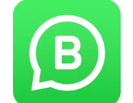 WhatsApp Business-NEXTS